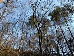 -南京金牛湖风景区