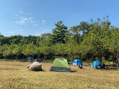 -田心森林公园