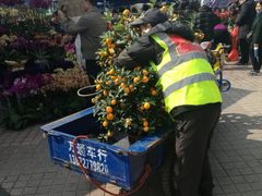 -珠海市体育中心-游泳馆