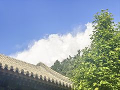 -莲池书院博物馆