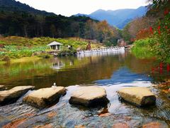 -广州市石门国家森林公园