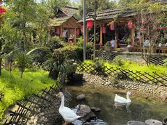 -青城甲(青城山店)