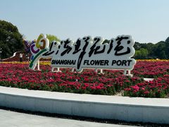 -上海鲜花港