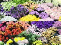 -双季花艺园艺市场(浦东店)