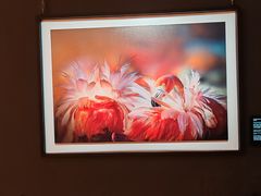 -罗红摄影艺术馆