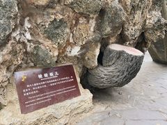 -房湖公园