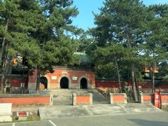 -普乐寺