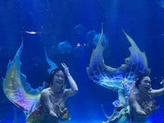 -华夏文旅海洋公园