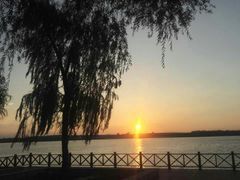 -丁香湖公园