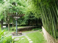-陈家山荷花公园