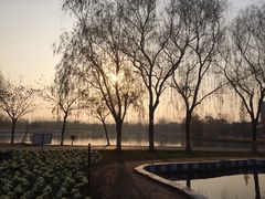 -祥源·阜阳生态乐园