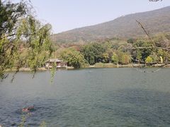 -紫霞湖公园