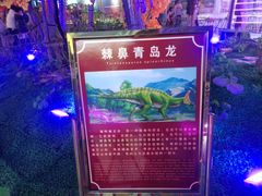 -诸城市恐龙博物馆