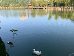 -观澜山水田园
