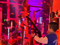 -沈阳海洋探索中心