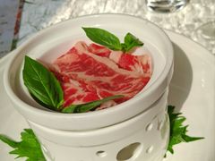 -五号茶居·新派粤菜·岭南五号酒店(沿江中路店)