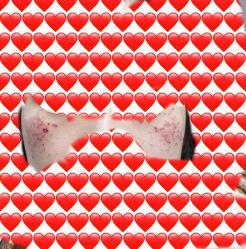 体验后-上海锦妍医疗美容门诊部