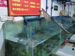 -吴记迎风楼北渡鱼