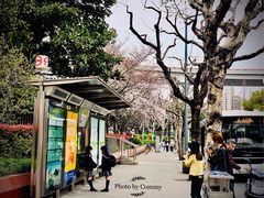 -上海南浦大桥长途旅游客运站