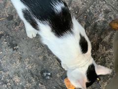 -三味臭豆腐(鲁迅故里店)