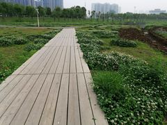 -汉江湾体育公园