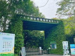 -华侨城湿地公园