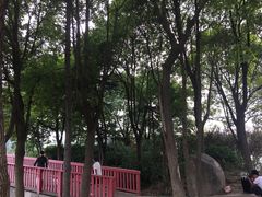 -美兰湖景区