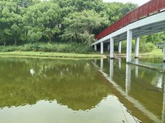 -美兰湖景区