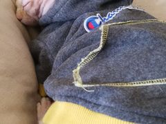 -猫腻·猫咖·撸猫馆(星光大道店)