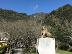 -太鲁阁公园