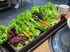 -本家韩国烤肉(青岛万象城店)