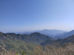 -大岭沟猕猴桃谷风景区