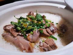 -大鸽饭(岗顶店)