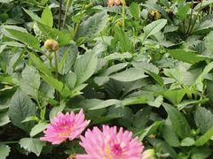 -西宁市人民公园(城西区)