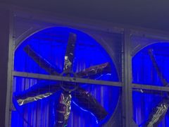 -关你鬼室大型密室逃脱(佛山创意园店)