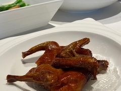 红烧乳鸽-陶陶居·雅园(凯华国际店)