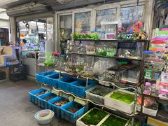 -万商花鸟市场