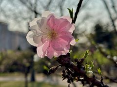 -玲珑塔公园