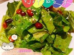 巧拌油麦菜-四小姐的店(王府井店)