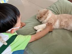 -平行世界·猫咖(首经贸店)