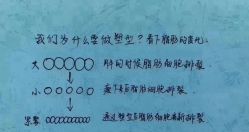 -香薇妮丝·定制减肥·身材管理