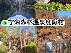 -宁海森林温泉