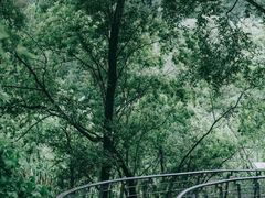 -西湖风景区-江洋畈生态公园