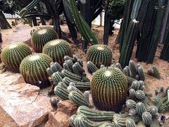 -华南国家植物园-售票处