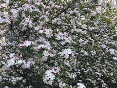 -山东师范大学(千佛山校区)