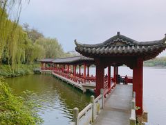 -雨湖公园