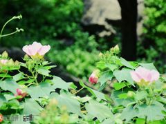 -溪口-滕头旅游景区