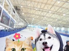 -乔波室内滑雪场