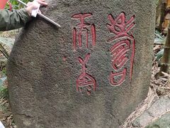 -呀诺达热带雨林