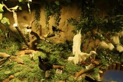 -酷嗒动物文化乐园(cutezoo西溪乐天城店)